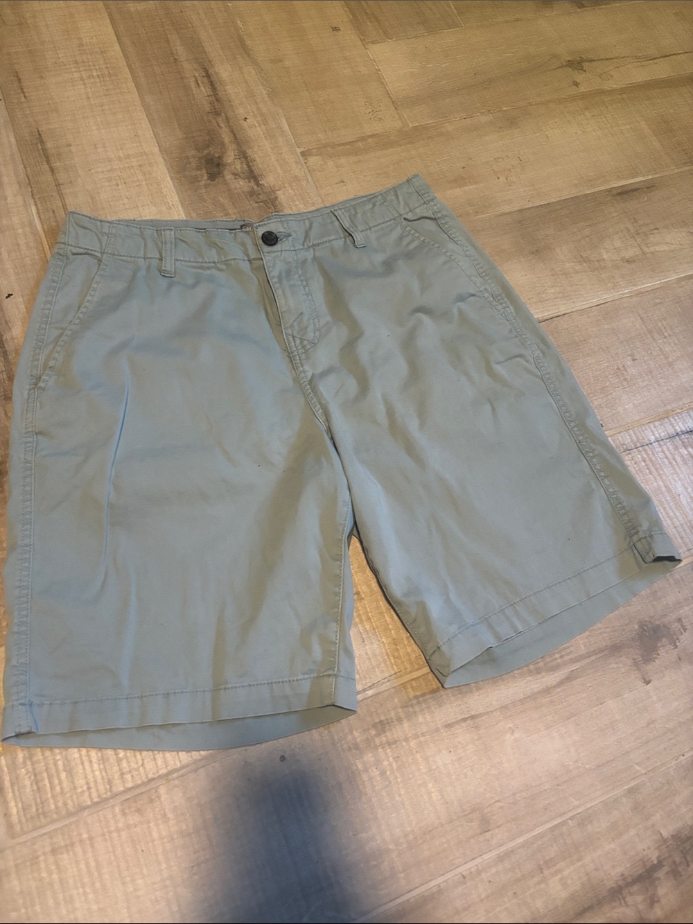 Men's Classic Casual Shorts - Sage Green